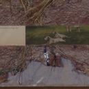 a06d.jpg
