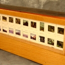 sd05.jpg